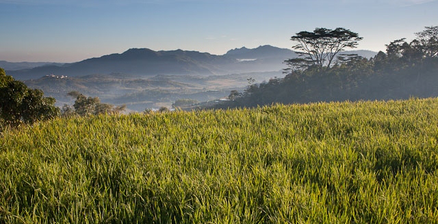 Tempat Dingin di Indonesia